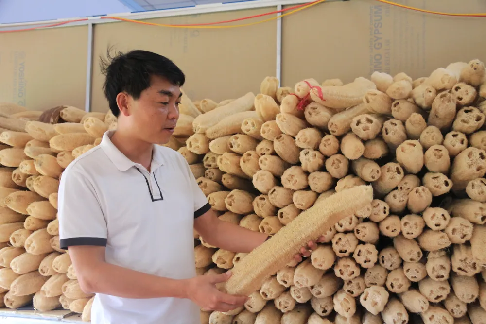 Anh Tùng đã "hoá thân" cho Từ xơ mướp bình dị thành những mặt hàng độc đáo IMG_4718.JPG