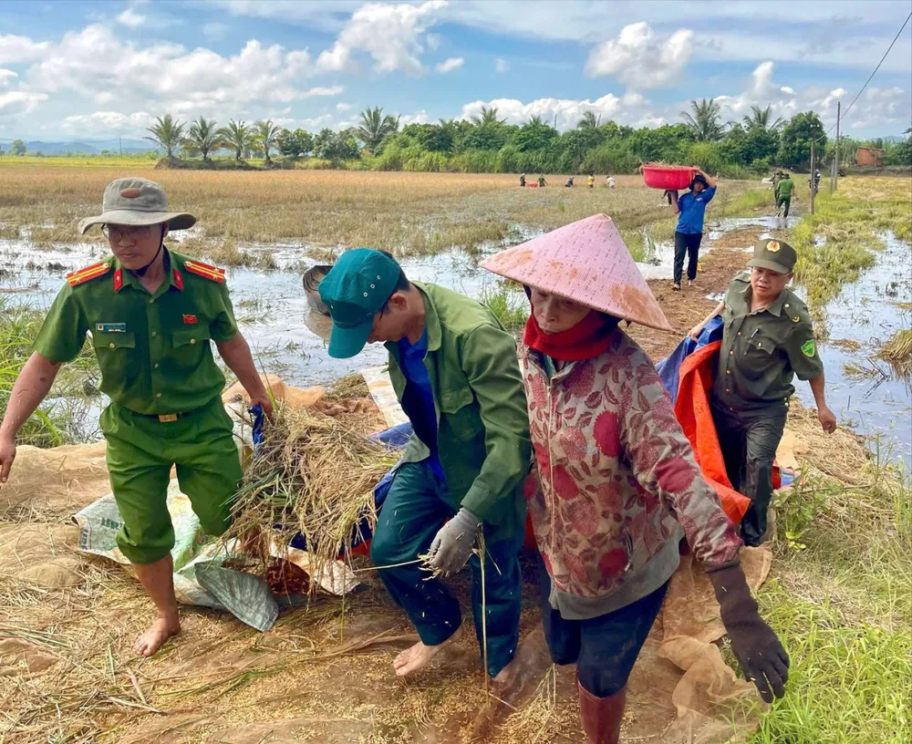 Vận chuyển lúa lên bờ z7002734210635_53171f22f7559cf9024bdc3fe5b82cf8.jpg