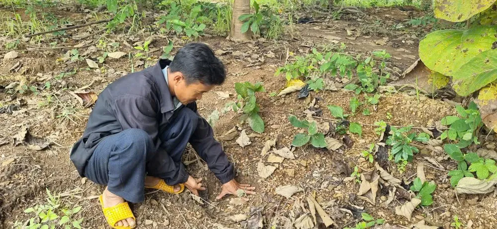 Nhiều dấu chân voi tại khu vực tiểu khu 854 z7143227856514_35d65285981edaa32dc0f8e3a98f789c.jpg