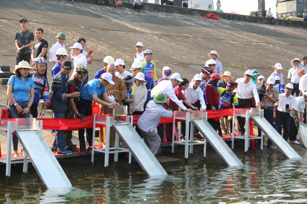 Đại diện các cơ quan chức năng, nhà tài trợ tiến hành thả cá giống xuống lòng hồ thủy điện Sông Tranh 2