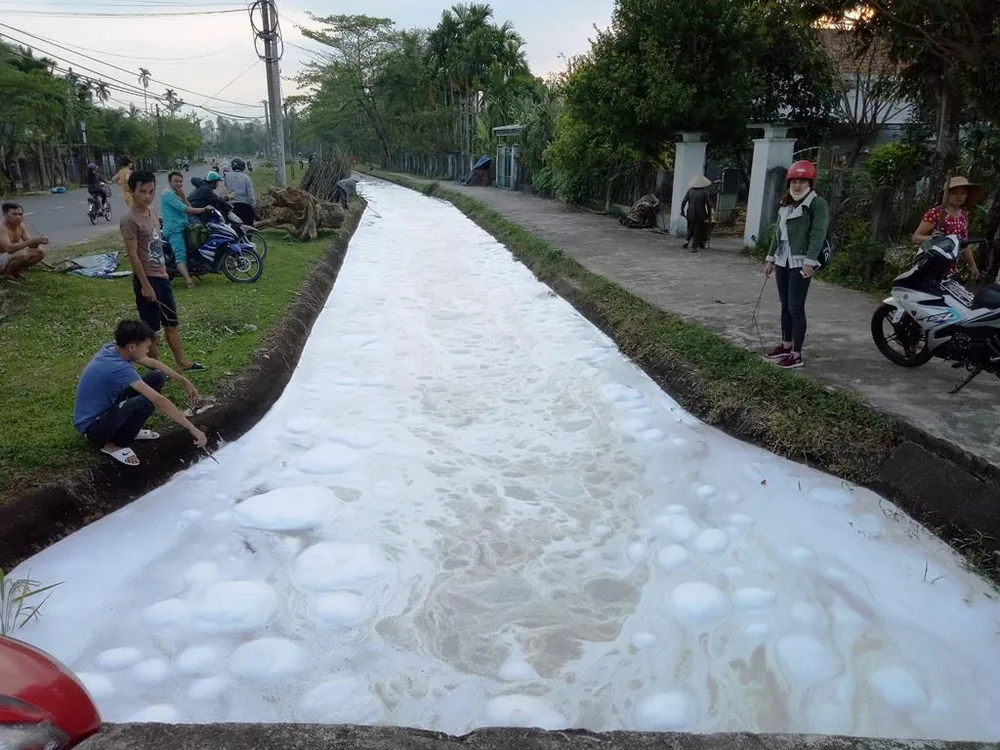 Kinh hoàng cảnh cá chết trắng kênh thủy lợi, nghi nhiễm độc thuốc diệt cỏ ảnh 1