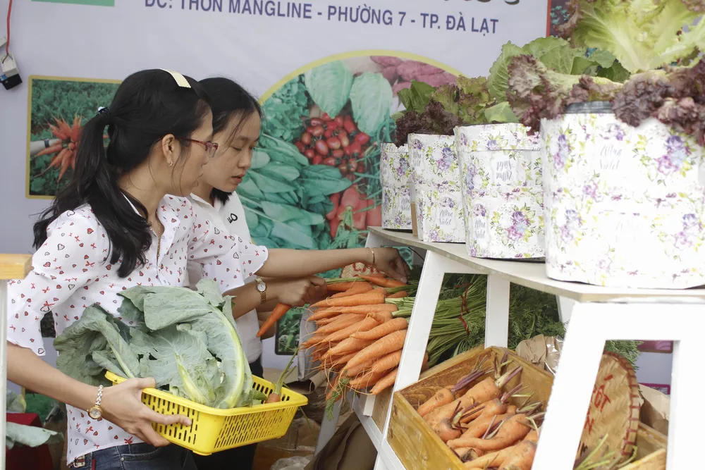 Chuỗi hoạt động “Kết nối hàng Việt – Đà Nẵng 2019” ảnh 1 Chuỗi hoạt động “Kết nối hàng Việt – Đà Nẵng 2019” ảnh 1