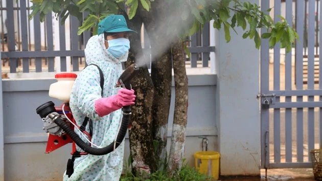 Đà Nẵng: Một trường hợp tử vong do sốt xuất huyết ảnh 1 Đà Nẵng: Một trường hợp tử vong do sốt xuất huyết ảnh 1