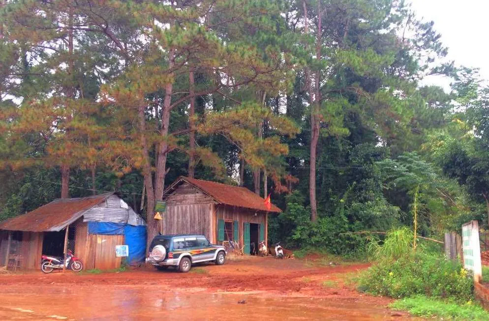  Vụ “Phá nát rừng Kbang”: Chốt giữ rừng không bảo vệ được rừng ảnh 5