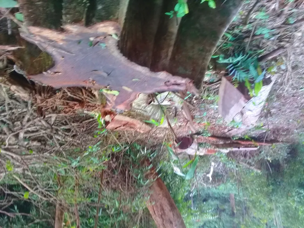  Vụ “Phá nát rừng Kbang”: Chốt giữ rừng không bảo vệ được rừng ảnh 6