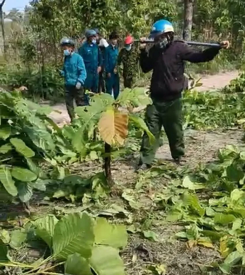 Nhân viên bảo vệ rừng bị dọa “giết cả nhà“ ảnh 1 Nhân viên bảo vệ rừng bị dọa “giết cả nhà“ ảnh 1