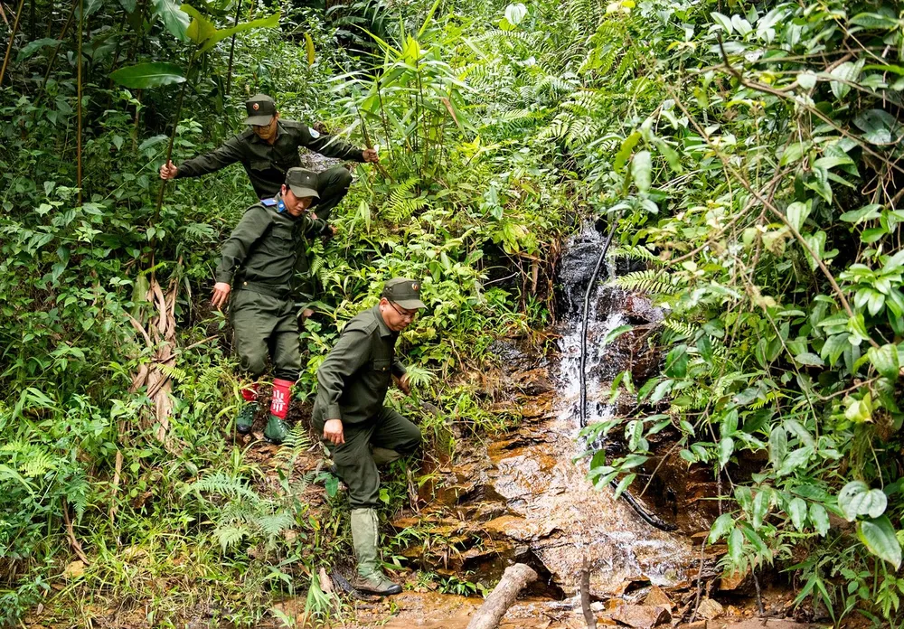 Nhân viên bảo vệ rừng đi tuần tra, bảo vệ rừng Nhân viên bảo vệ rừng đi tuần tra, bảo vệ rừng