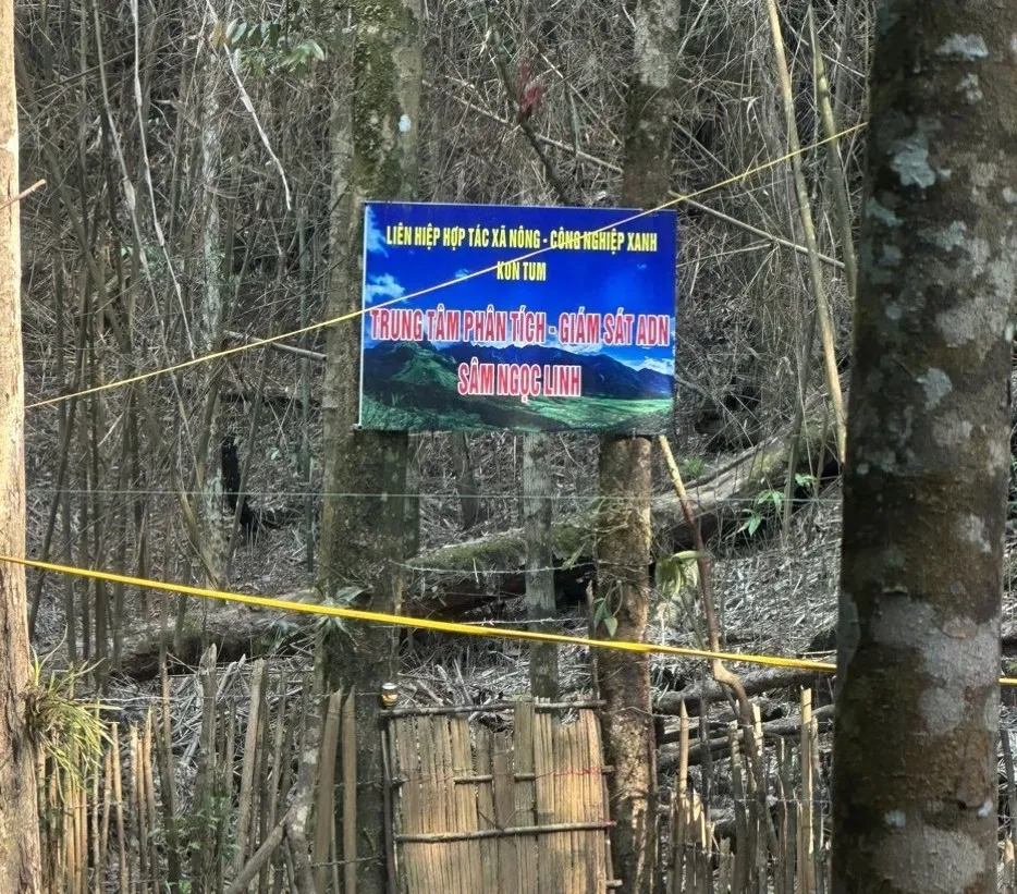 Dự án do ông Diễn "vẽ" ra ở huyện Tu Mơ Rông, tỉnh Kon Tum để lừa đảo Dự án do ông Diễn "vẽ" ra ở huyện Tu Mơ Rông, tỉnh Kon Tum để lừa đảo