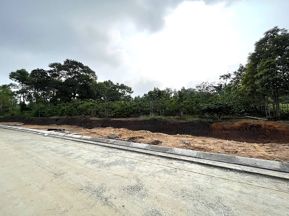 Vị trí dân hiến đất làm đường Vị trí dân hiến đất làm đường