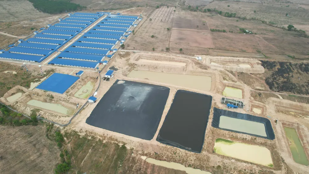 Các trại heo gây ô nhiễm bị xử phạt