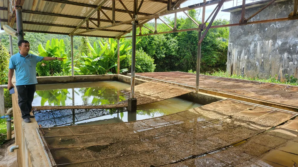 Bể chứa nước để xử lý, bên trên lưới đọng nhiều bùn, đất vón cục