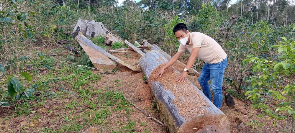 Dự án nông trại hữu cơ Tuyết Sơn Kon Plông để mất rừng. ẢNH: NN Dự án nông trại hữu cơ Tuyết Sơn Kon Plông để mất rừng. ẢNH: NN