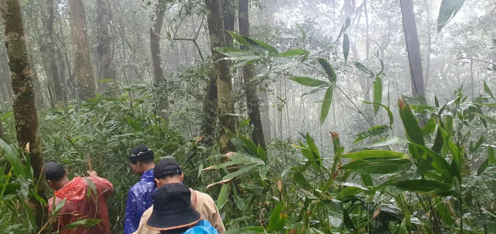 Tổ tìm kiếm trong rừng. Ảnh: Công an huyện Kon Plông Tổ tìm kiếm trong rừng. Ảnh: Công an huyện Kon Plông