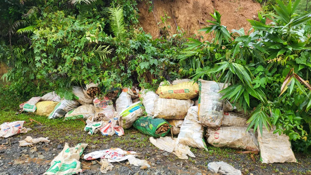 Mì chất ngổn ngang Mì chất ngổn ngang