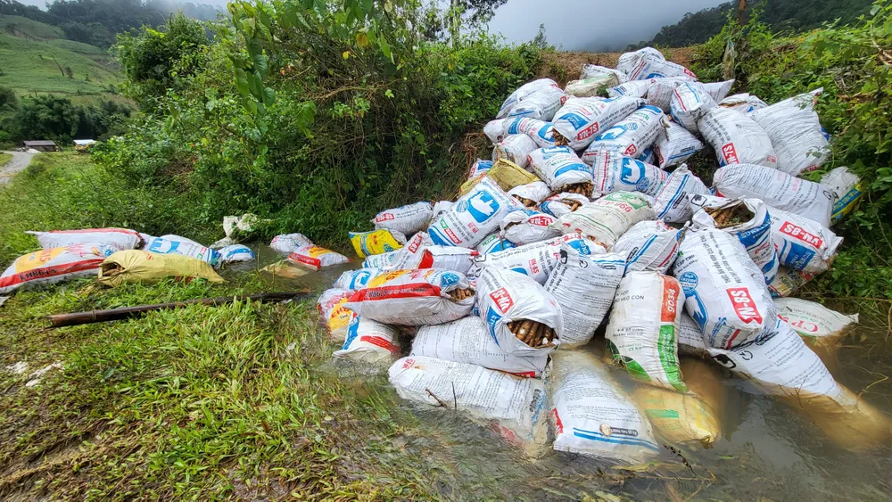 Mì bị ngâm nước Mì bị ngâm nước