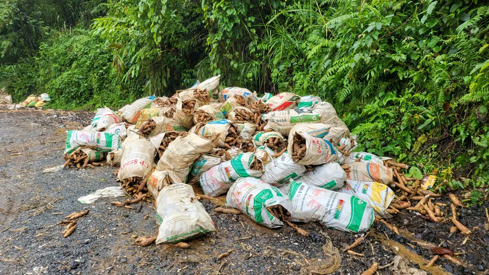 Mì chất la liệt Mì chất la liệt