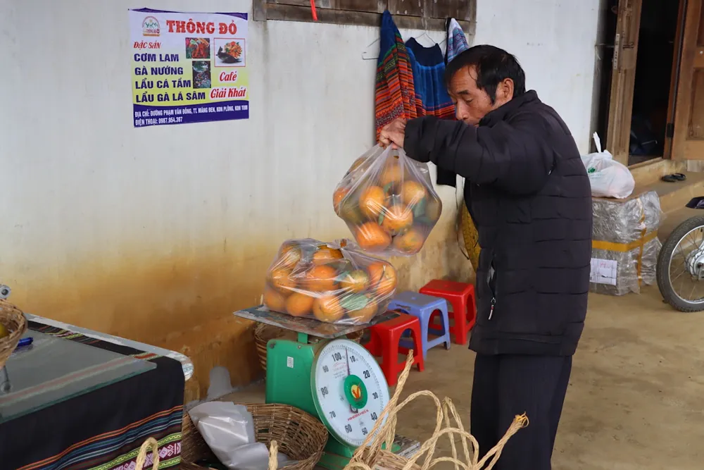 Chủ vườn cân cam cho khách. Ảnh: HỮU PHÚC z5134704880346-003d4760794a91cbf773f4b1a25ce019-3685.jpg
