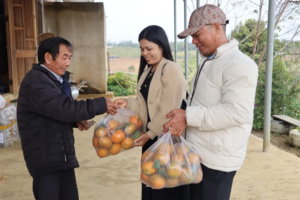 Khách tham quan, hái cam sạch mang về làm quà tết cho người thân. Ảnh: HỮU PHÚC z5134704880454-3462634747ecc72c0453cfae176d50e5-1837.jpg