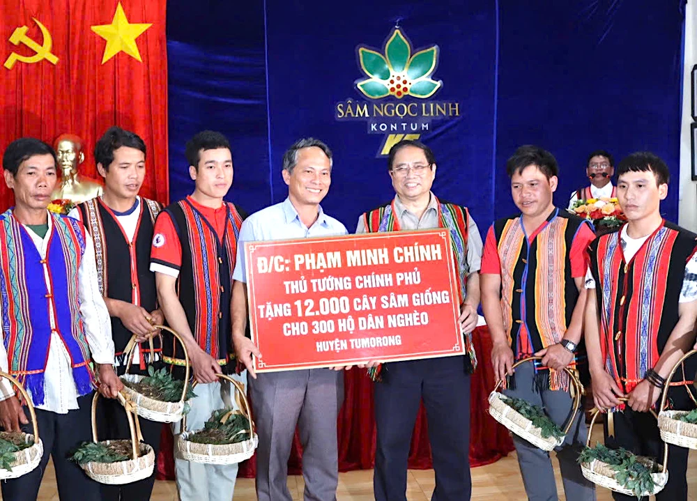 Trong chuyến công tác tại huyện Tu Mơ Rông, Thủ tướng Phạm Minh Chính tặng 12.000 cây sâm giống cho 300 hộ nghèo huyện Tu Mơ Rông 714474c6c324717a2835.jpg