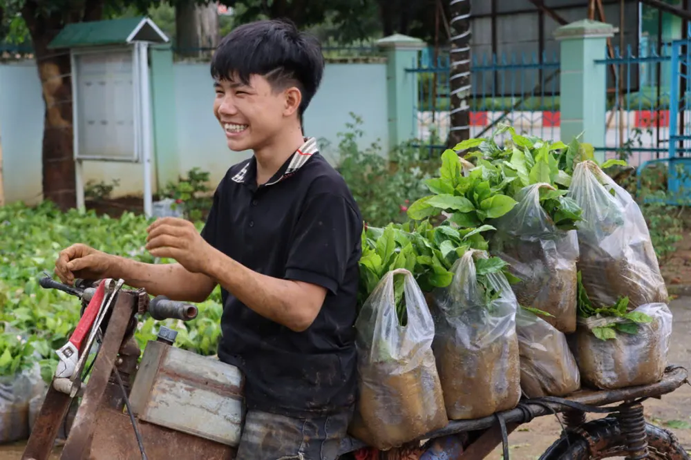 植える苗木を手に入れて人々は興奮している。写真:HUU PHUC bfd.jpeg