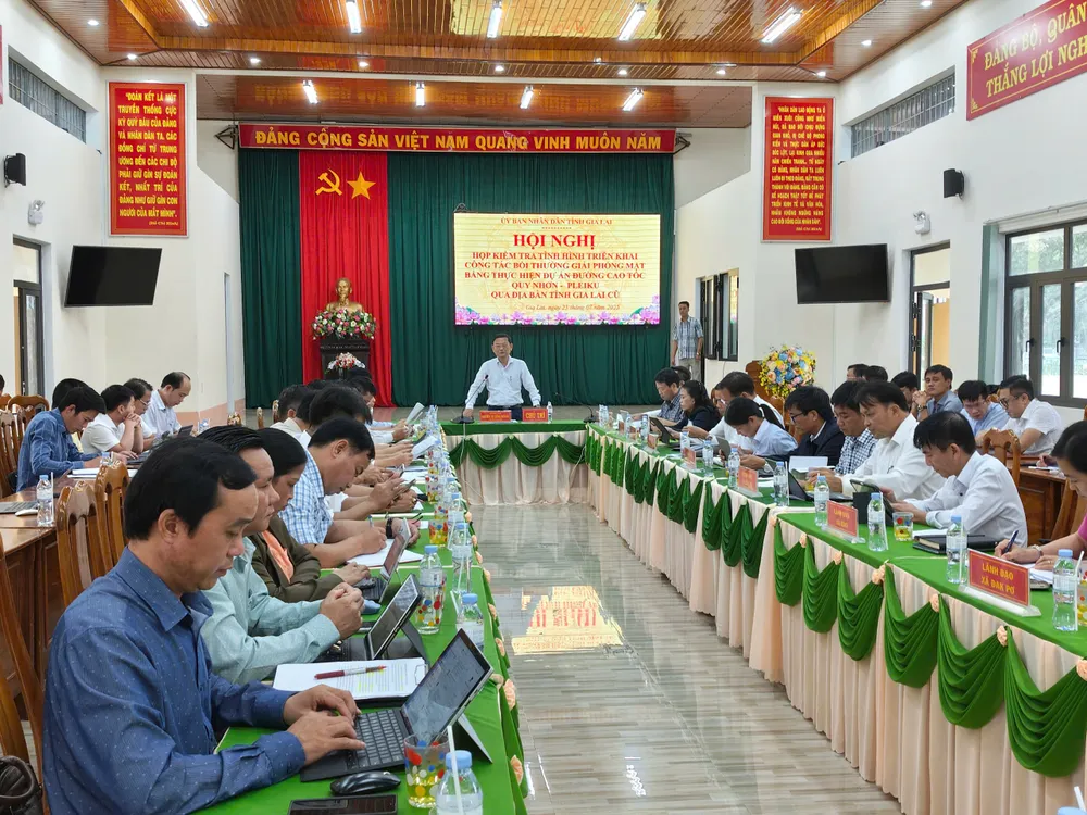Quang cảnh hội nghị csedf.jpeg