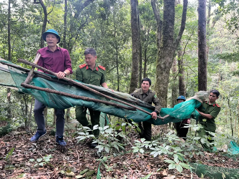 Ông Phạm Xuân Quang (bên trái), Chủ tịch UBND xã Măng Ri cùng lực lượng công an trực tiếp thu dọn lưới bảo vệ sâm bị bão làm hư hỏng. Ảnh: HPH brh.jpeg