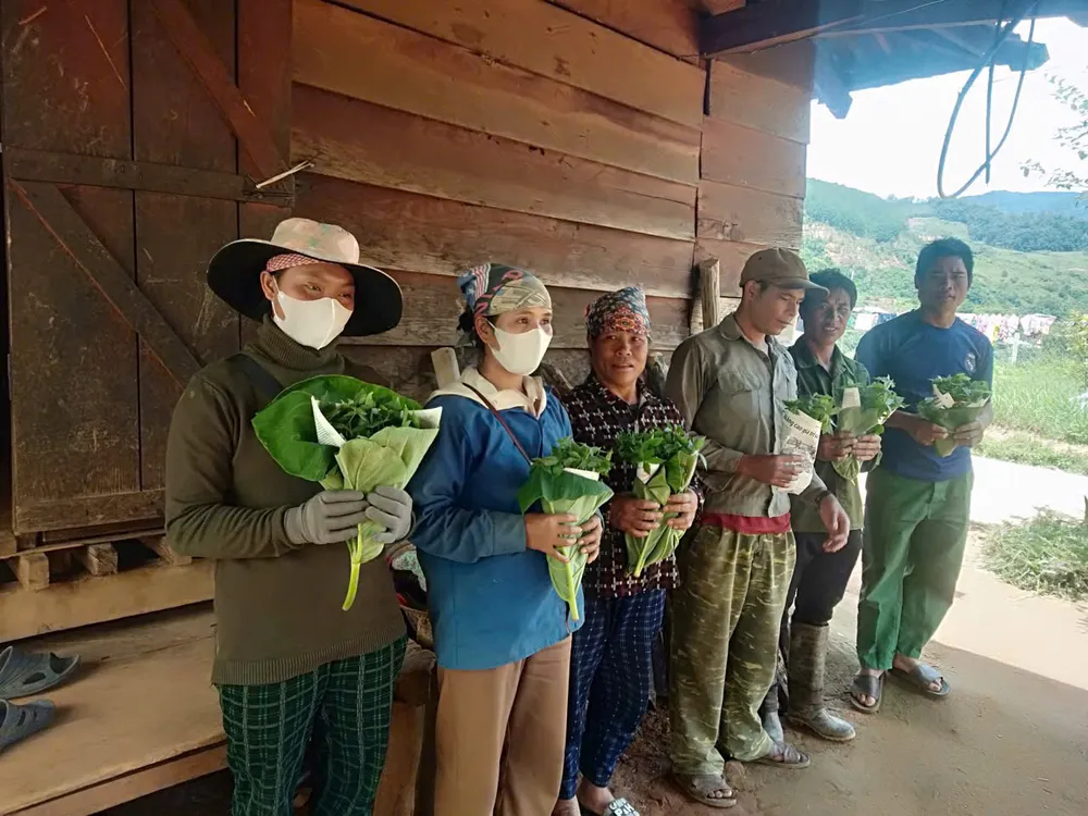 Xã Măng Ri tặng cây sâm giống để hộ nghèo cf.jpeg