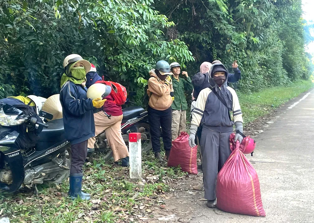 Sau một ngày thu hoạch, người dân chờ chở xoay về nhà etg.jpeg