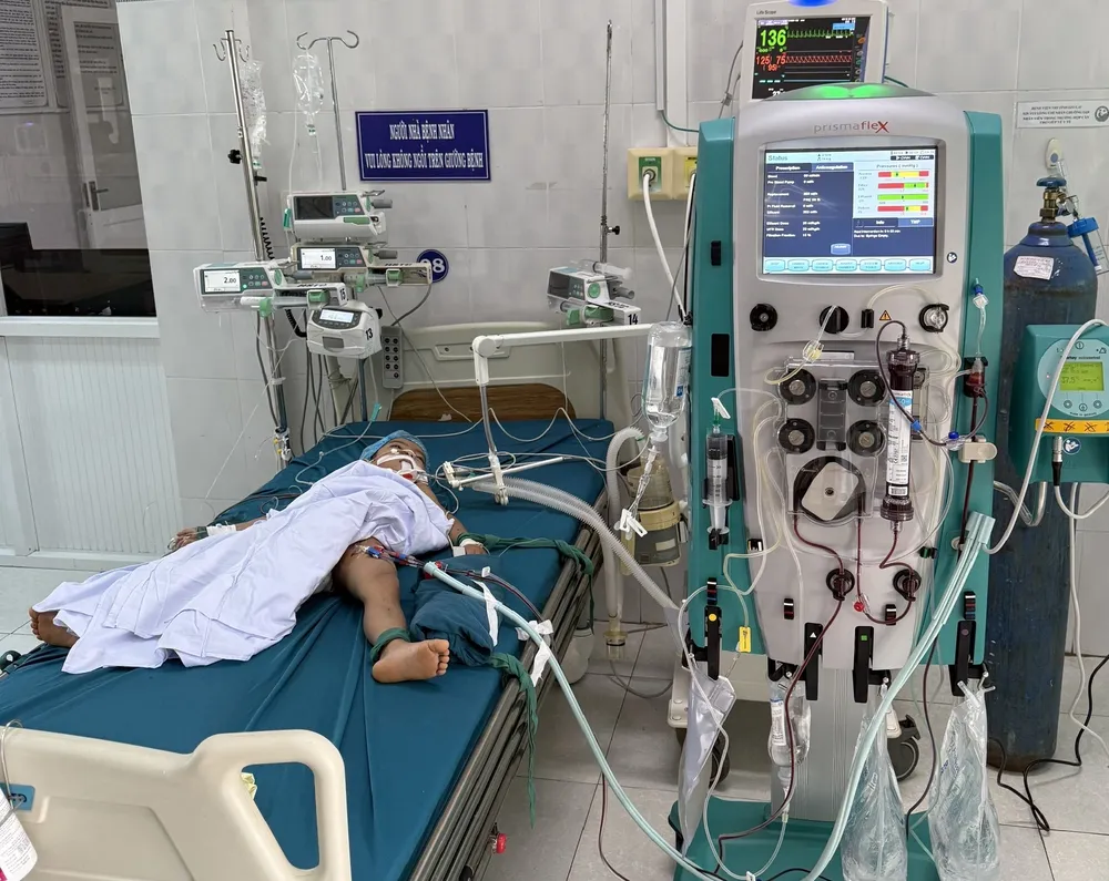 Một em nhỏ bị ong vò vẽ đốt ở phường An Phú vẫn đang được điều trị rtv.jpeg