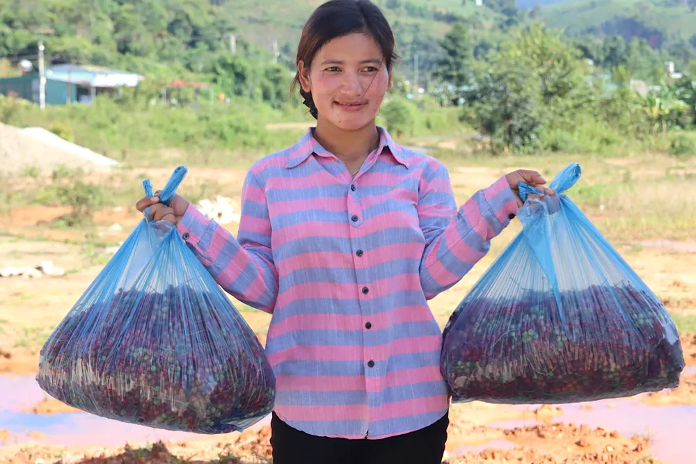 Người dân mang ra chợ bán a13.jpeg