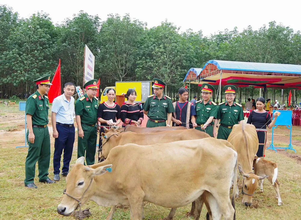 Bò giống hỗ trợ người dân 37f8a3a02c07a159f816.jpg