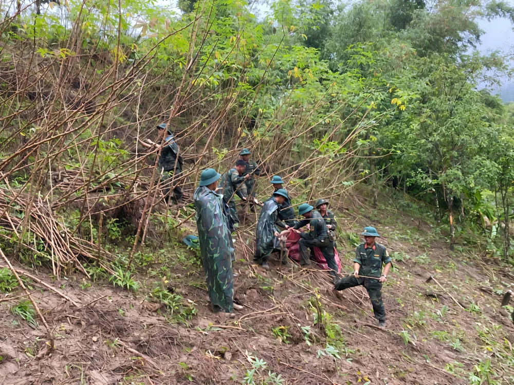 Thu hoạch mì cho bà con trước khi mở đường Thu hoạch mì cho bà con trước khi mở đường