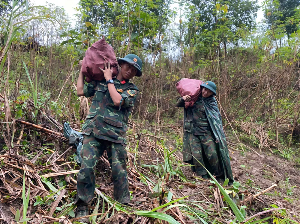 Các chiến sĩ thu hoạch mì giúp dân Các chiến sĩ thu hoạch mì giúp dân