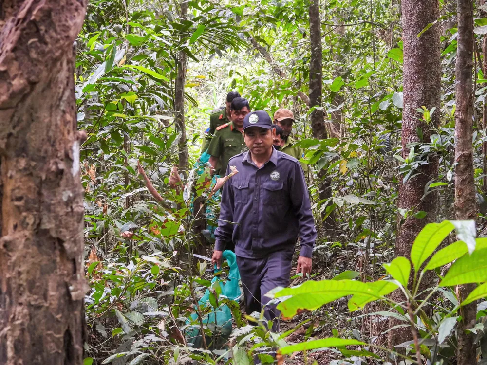 ສະຖານທີ່ປ່ອຍແມ່ນປ່າໄມ້ທີ່ມີລະບົບນິເວດທີ່ຫຼາກຫຼາຍ. thrgr.jpeg