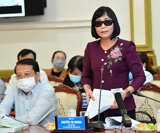 HCMC is fully capable of becoming a megacity: Experts ảnh 3