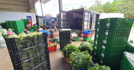 HCMC to evaluate agricultural product, food manufacturing during lockdown ảnh 1 HCMC to evaluate agricultural product, food manufacturing during lockdown ảnh 1