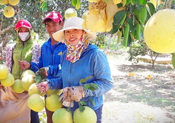 Central Vietnam embraces OCOP scheme ảnh 2