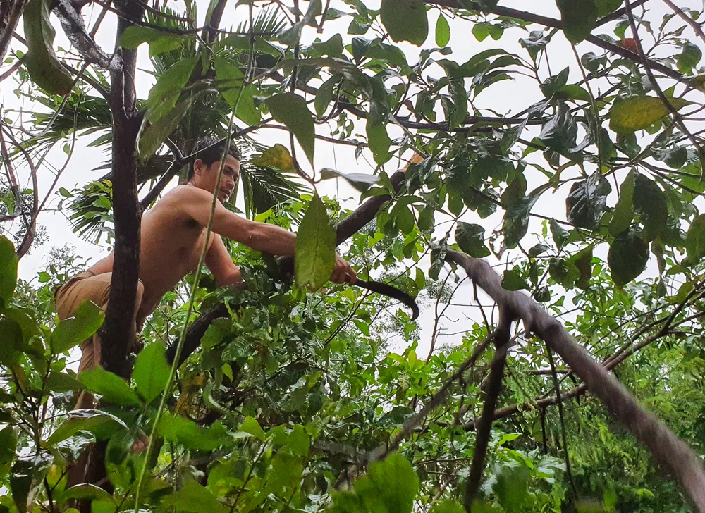 Sinh hoạt của người dân vùng lũ Đà Nẵng  ảnh 8