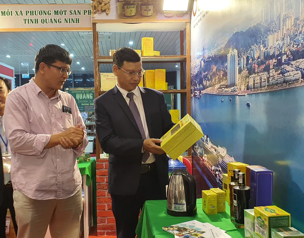 Khai mạc Hội chợ Quốc tế Thương mại, Du lịch và Đầu tư hành lang kinh tế Đông Tây - Đà Nẵng 2020 ảnh 2