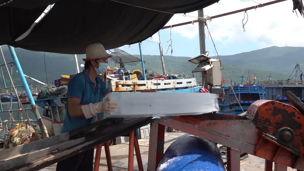 Người dân Đà Nẵng háo hức ngày mở cửa trở lại ảnh 9 Người dân Đà Nẵng háo hức ngày mở cửa trở lại ảnh 9