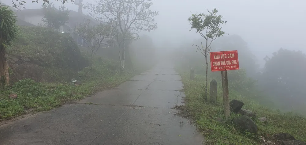 Hải Vân quan trong sương mù  ảnh 1