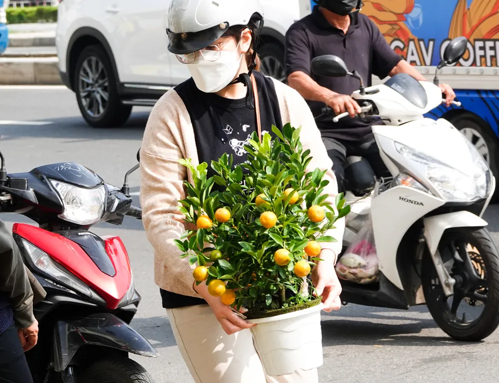 Chợ hoa Đà Nẵng ngày cận Tết: giá tăng nhẹ, tấp nập bán mua ảnh 11