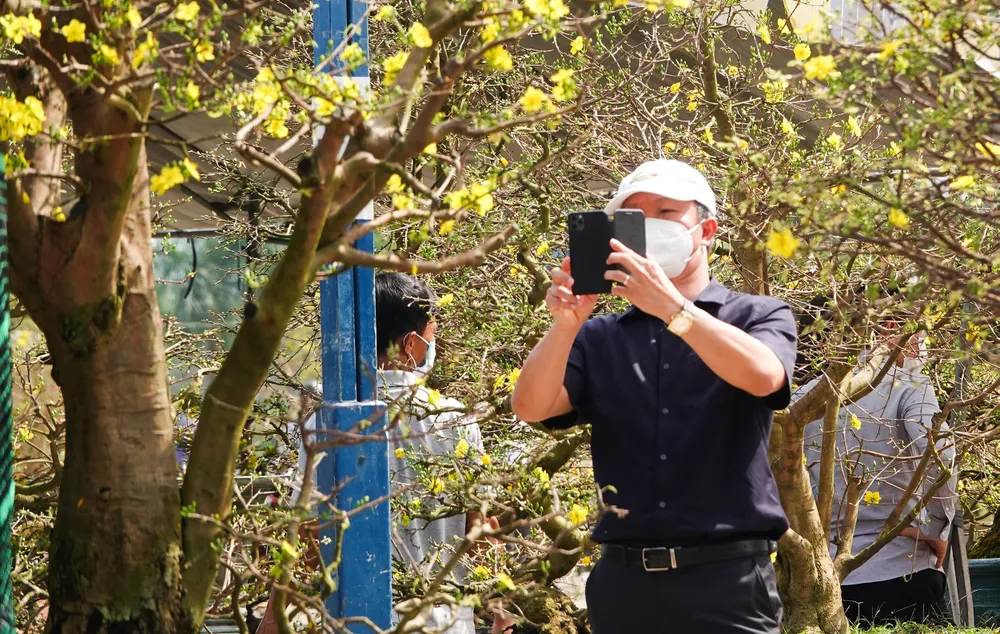 Chợ hoa Đà Nẵng ngày cận Tết: giá tăng nhẹ, tấp nập bán mua ảnh 8