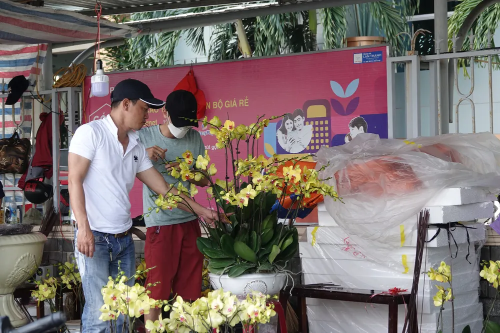 Chợ hoa Đà Nẵng ngày cận Tết: giá tăng nhẹ, tấp nập bán mua ảnh 5