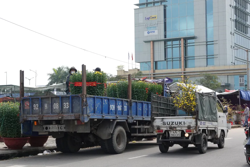 Chợ hoa Đà Nẵng ngày cận Tết: giá tăng nhẹ, tấp nập bán mua ảnh 7