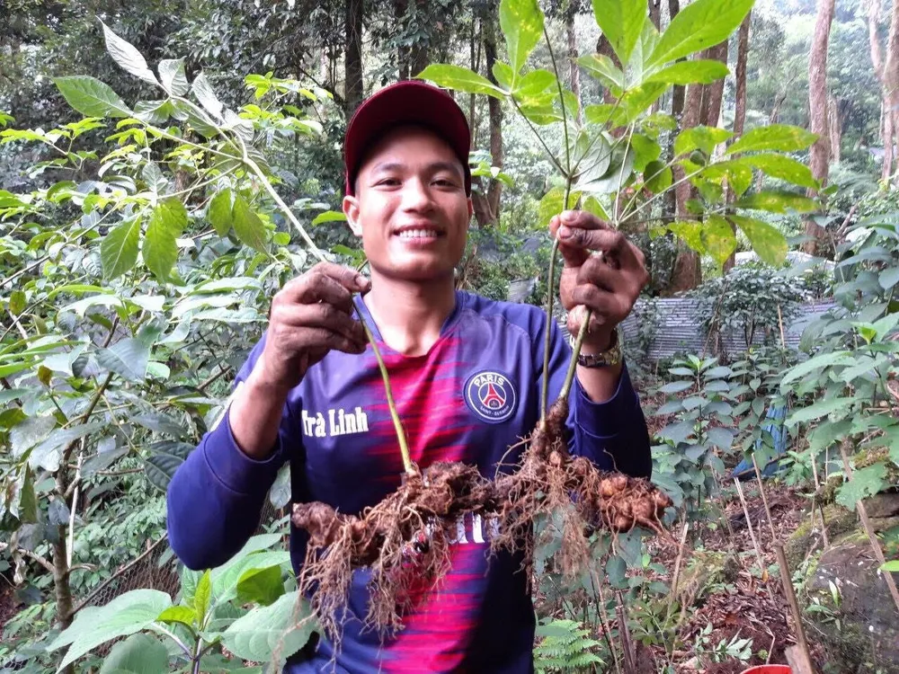 Hiệu quả từ các dự án thuận thiên tại vùng Trung Trường Sơn ảnh 1 Hiệu quả từ các dự án thuận thiên tại vùng Trung Trường Sơn ảnh 1