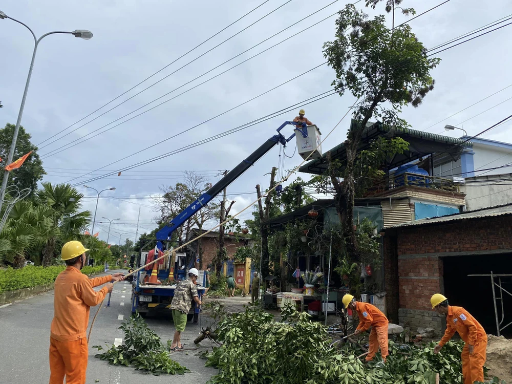 Các đơn vị điện lực phát quang hành lang tuyến tại tỉnh Quảng Nam