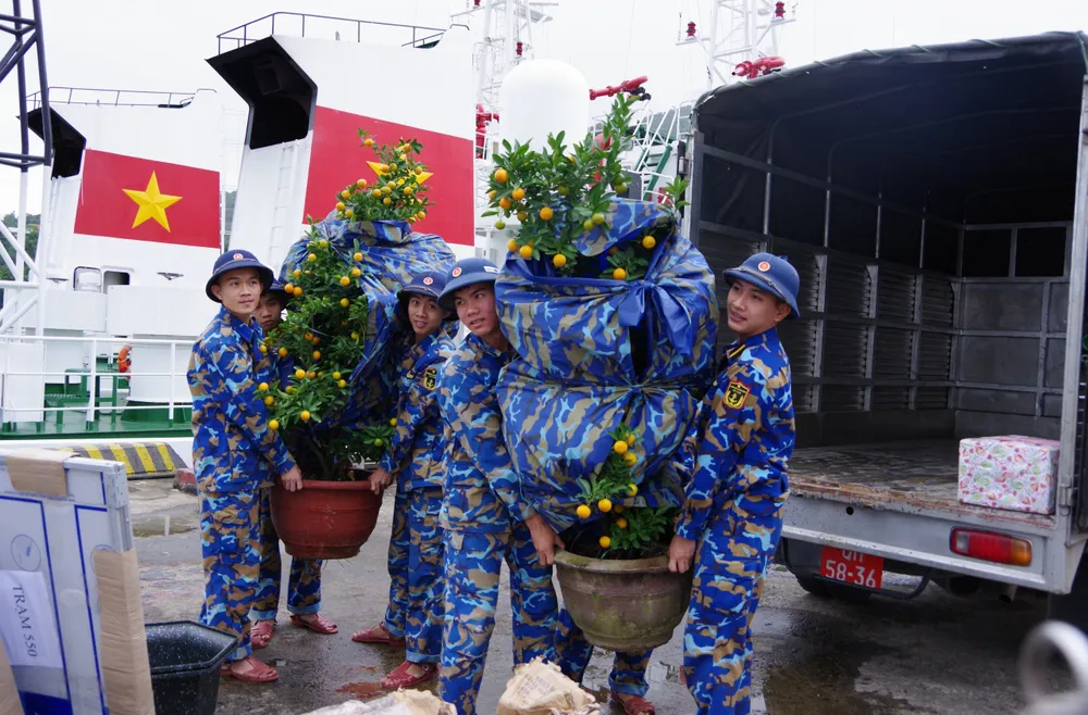 Những chậu quất cảnh được cán bộ chiến sĩ Vùng 3 Hải quân mang ra huyện đảo Cồn Cỏ và Lý Sơn Những chậu quất cảnh được cán bộ chiến sĩ Vùng 3 Hải quân mang ra huyện đảo Cồn Cỏ và Lý Sơn