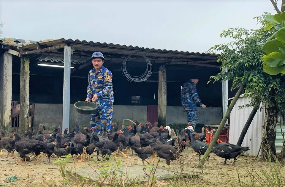 Đàn gà mà các chiến sĩ nuôi từ đầu năm 2022. Ảnh: ĐÌNH HƯỚNG Đàn gà mà các chiến sĩ nuôi từ đầu năm 2022. Ảnh: ĐÌNH HƯỚNG