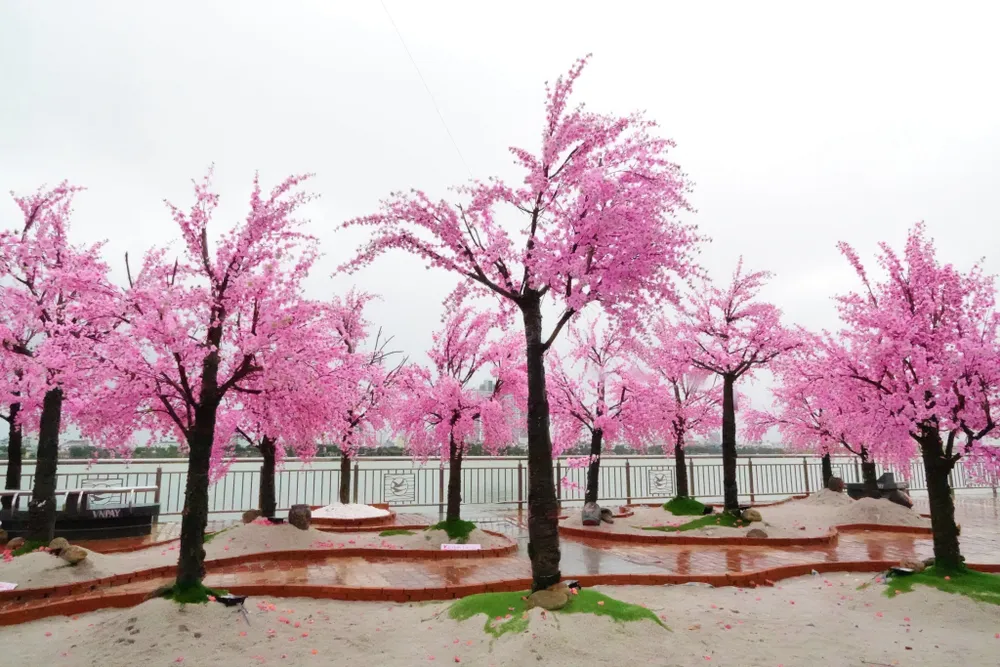 Hàng hoa đào kết hợp mô hình những mái nhà chồ xưa cũ và các bức tranh nghệ thuật theo khung cánh cửa thể hiện sự chuyển động, phát triển, hướng đến tương lai của TP Đà Nẵng